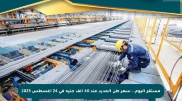 مستقر اليوم.. سعر طن الحديد عند 40 ألف جنيه في 24 أغسطس 2025
